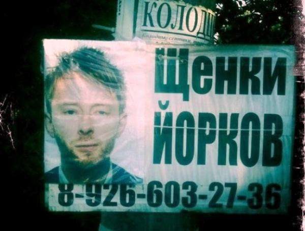 Самые странные и нелепые появления знаменитостей в рекламе