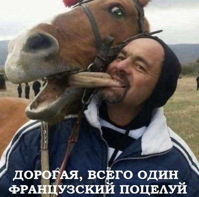 Скотсети и прочие интернеты 22.01.18