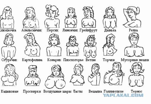 О сиськах