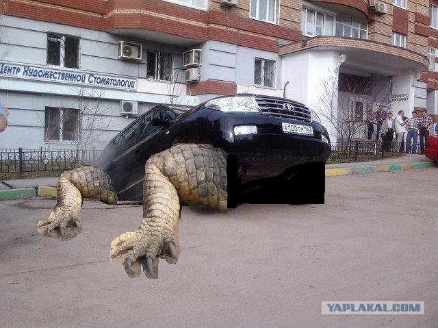 Ловушка для крузака