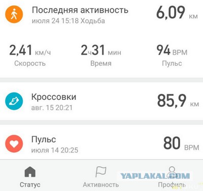 Нашёл под стелькой кроссовка, что это?