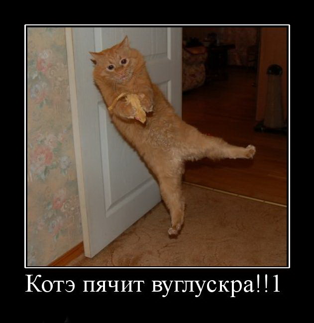 Старость. Кродеться...
