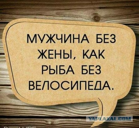 Бабы реально без срача не могут?