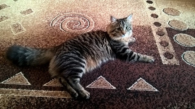 Немного милоты