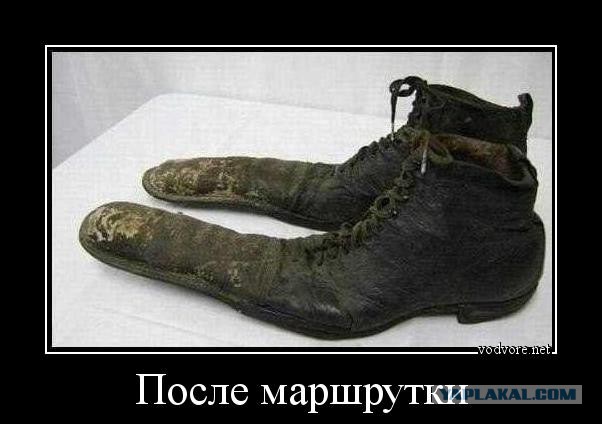 Ну прям большая-пребольшая подборка картинок