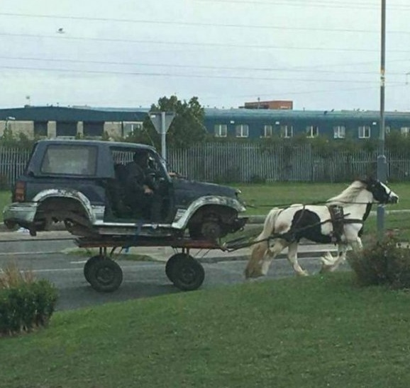 WTF: что тут происходит?