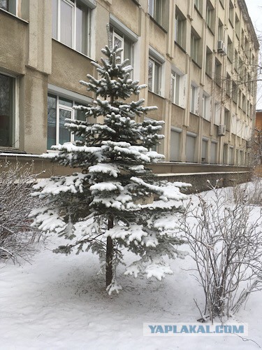 Хоккей Сезон 2018 - 2019 часть 7
