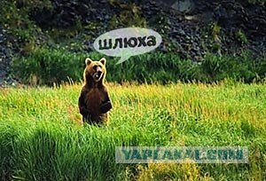 Пикантный видеоролик от секс-шопа vsexshop.ru!