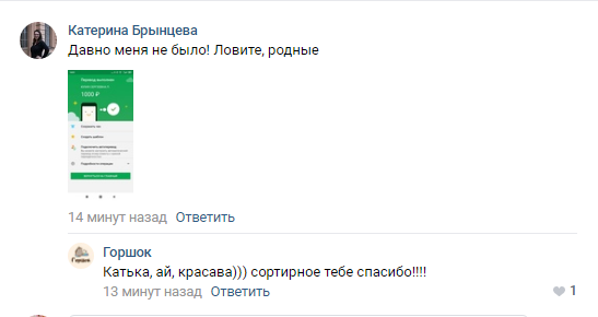 Помогите вернуть кота! Приют "Преданное сердце" украл кота и не отдает!-2
