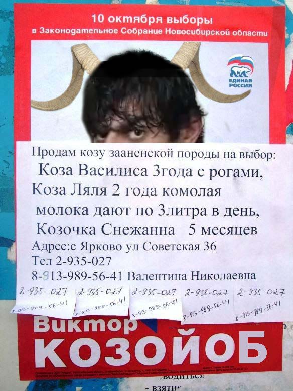 Продам козу