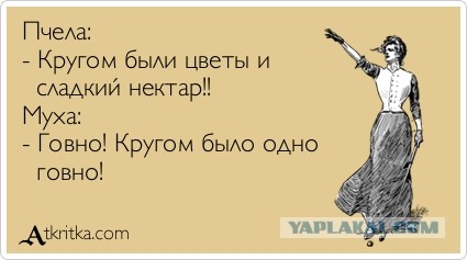 Когда дочь чуточку умнее