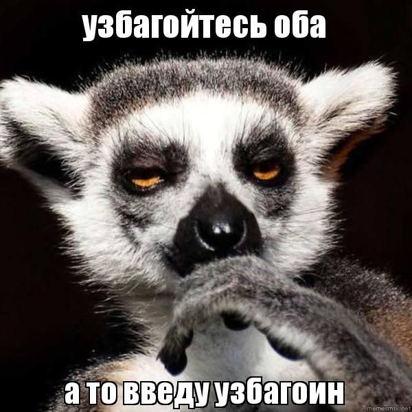 Нелaсковые ЧОПовцы..