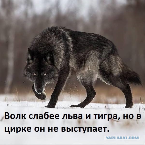 Немного картинок для настроения 21.02.20