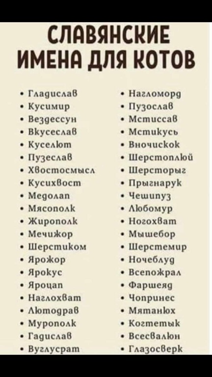 Дурацкие картинки