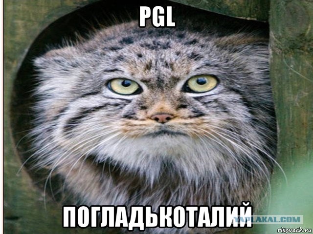 Периодическая система кото-элементов