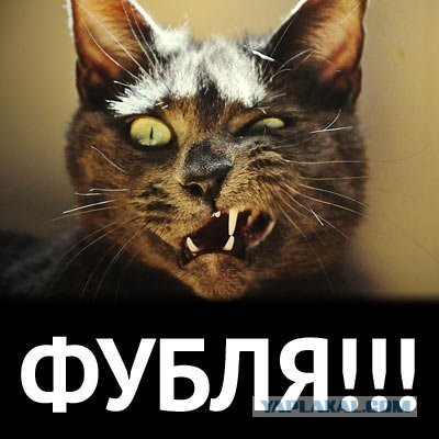 Восставший из комы