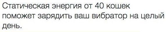 Вот молодость позади, а я осознаю - старая любовница никому не нужна