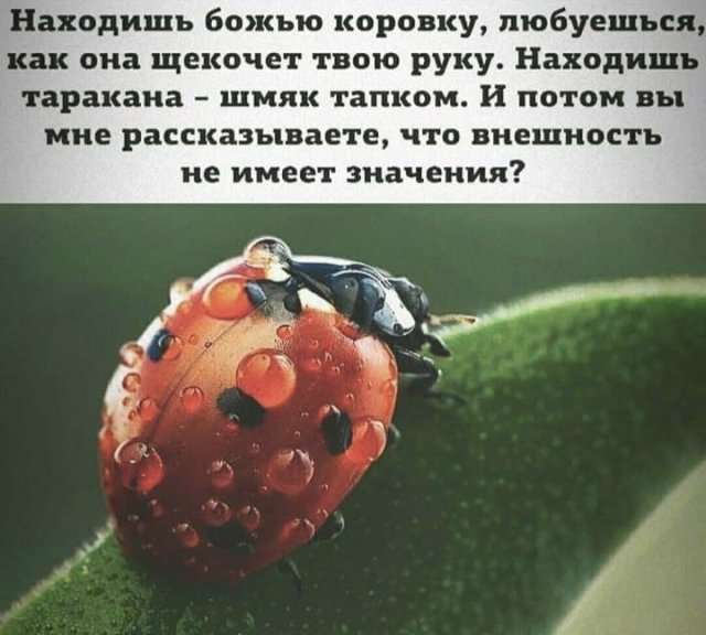 Всякая всячина
