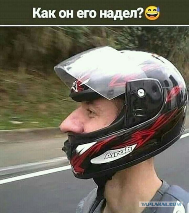Что в головах у людей?
