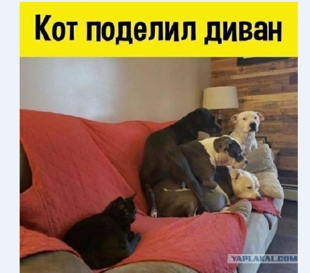 Так себе картинки 29.10.21