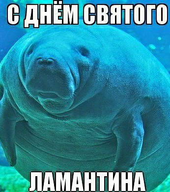 Популярность Дня святого Валентина в России за 15 лет упала в четыре раза