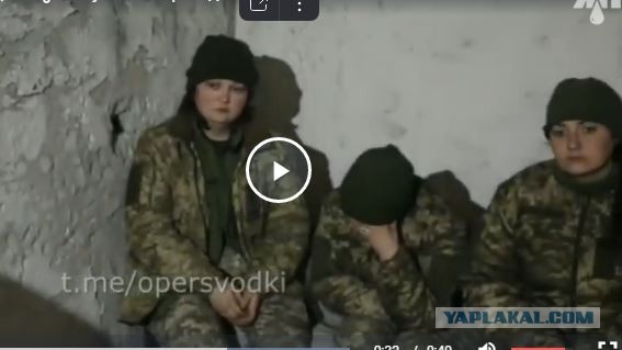 Букет Венеры отвоевался