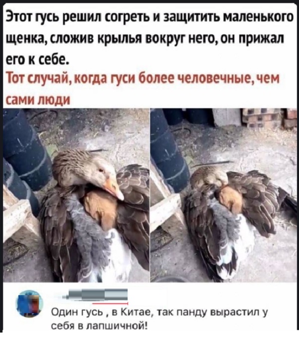 Картинки с надписями и всякие жизненные фразы