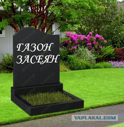 Газон Шрёдингера