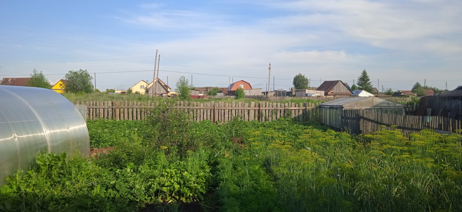 Колокольня в деревне Тюш Пермский край
