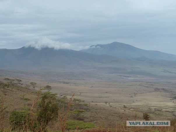 AFRICA - (Эфиопия,Кения,Танзация) 4-16 ноября 2011