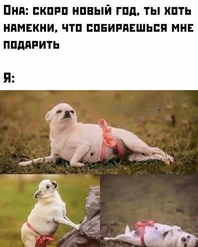 Картинки и мемы, всем хороших выходных