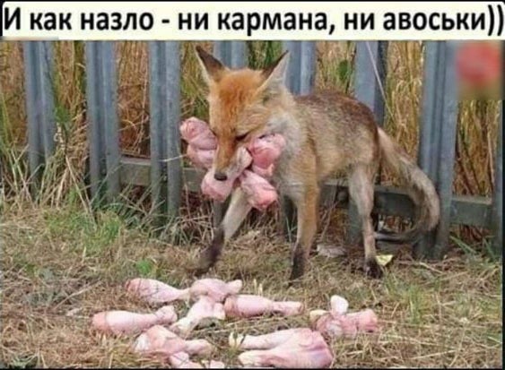 Так себе картинки 17.12.22