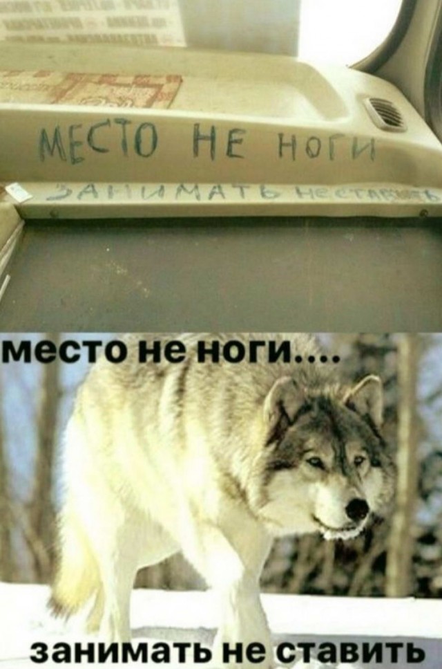 Забавные комментарии из социальных сетей 26.12.22