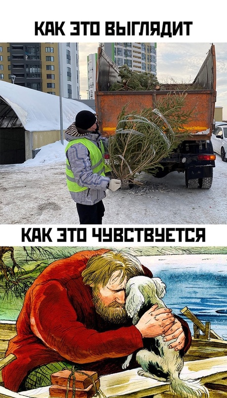 Весёлый полтишок 17.01.23
