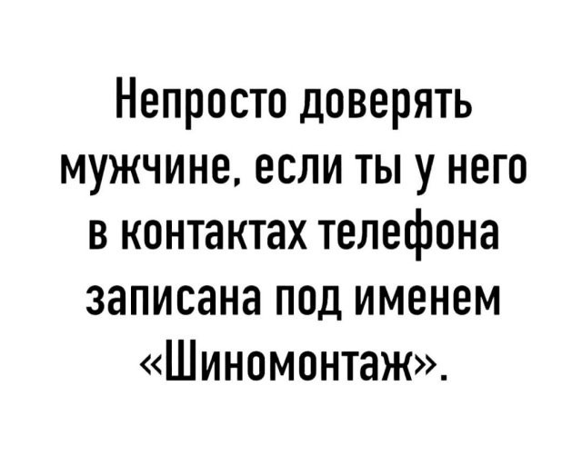 Весёлый полтишок 08.07.23