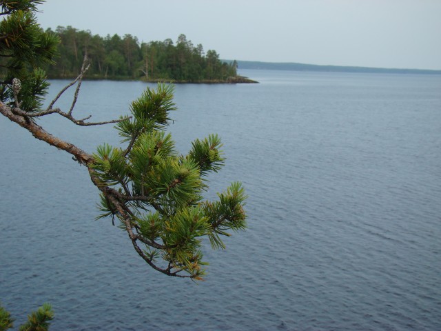 Трое в лодке