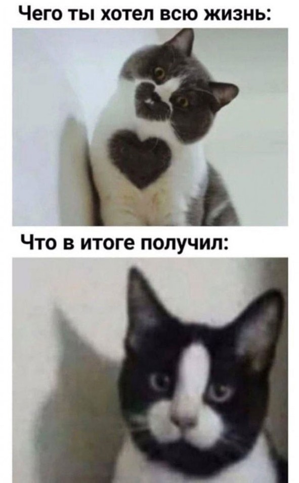Буэнос ночиес!