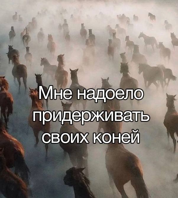 Всего понемногу. От 14.11.2024