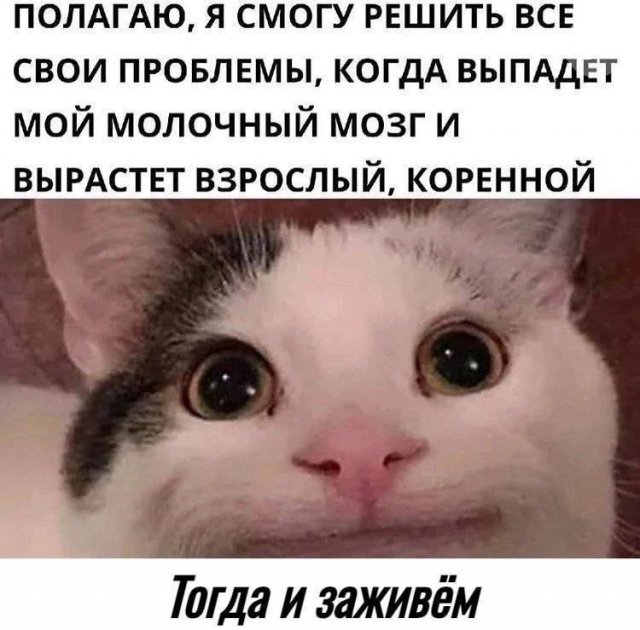Картинки разные с надписями и без