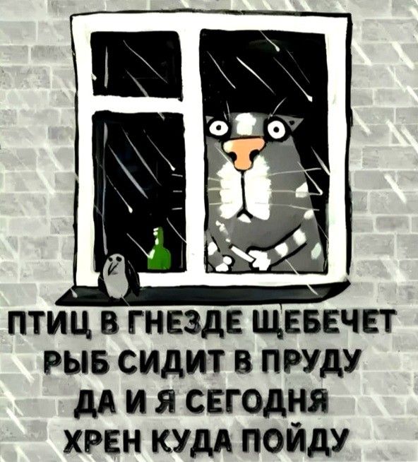 Прикольные и просто красивые картинки 07.01.2025