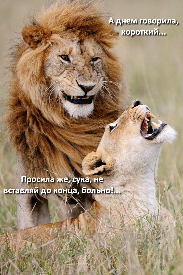 Тушенку будешь?