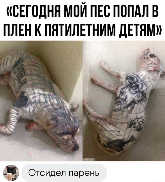 Так себе картинки 25.06.25