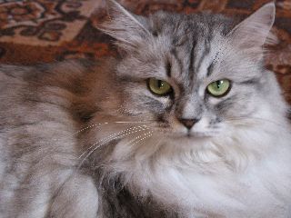 А ты живи с этим