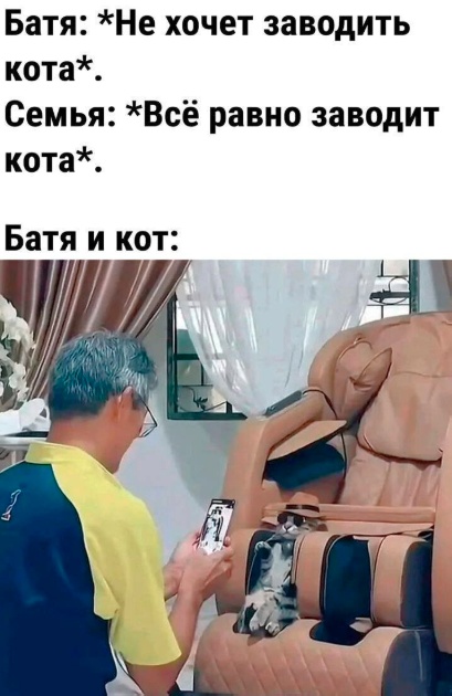 К котовторнику: подборка картинок-баянов с котиками и про котиков. Выпуск 24.