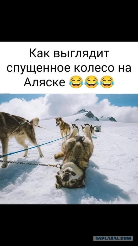 Картинки для деградации 90 (разной степени свежести)