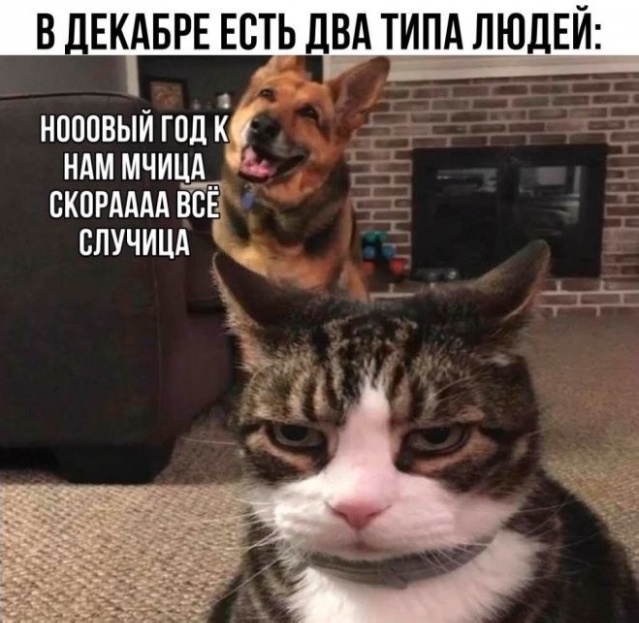 Картинки для деградации 106 (разной степени свежести)