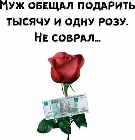 Забавные картинки, шутки из этих ваших интернетов