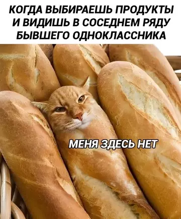 Картиночки, баянчики 11 марта