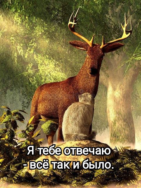 Ох, уж этот кот.