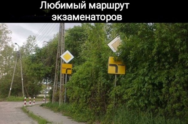 Субботние картинки